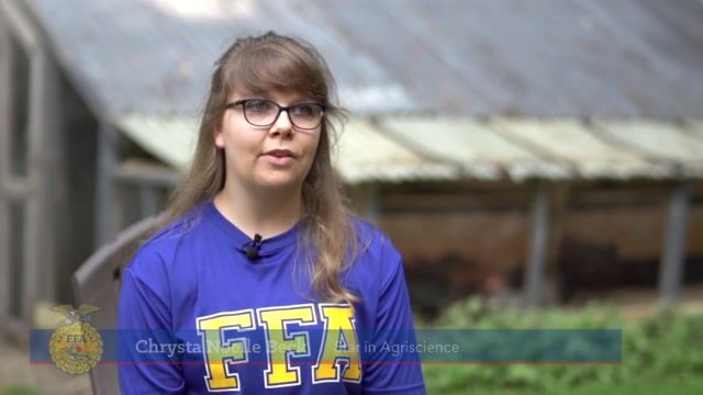 Chrysta Beck | 2017 American Star in Agriscience