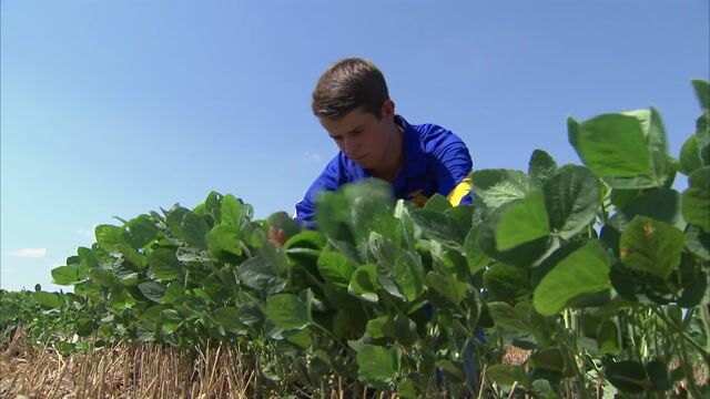 Tyler Schnaithman | 2016 American Star Farmer