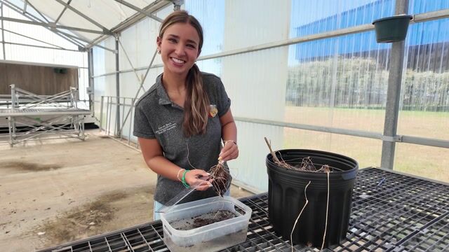 Sarah Beck Star Agriscience Finalist