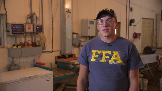 Austin Stanton | 2018 American Star Farmer