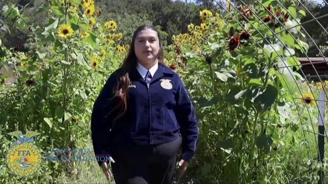 Student Showcase: Power, Structural, and Technical Systems | 2026 Convention