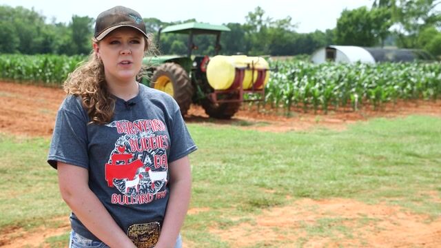 Agritourism SAE