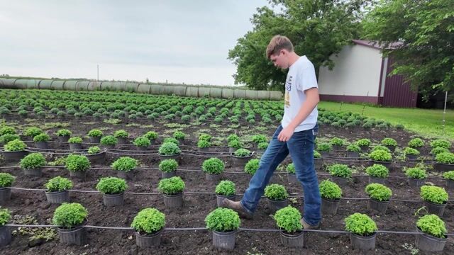 Ben Biros Star Agribusiness Finalist