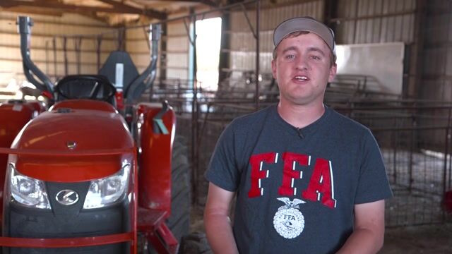 Willis Wolf | 2019 American Star Farmer